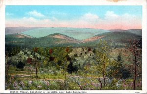 Postcard MO Branson Shepherd of the Hills -  Mutton Hollow near Lake Taneycomo