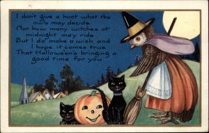 Halloween Owl Witch Woman & Black Cats c1915 Whitney Postcard