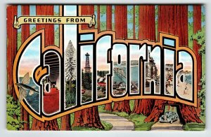 Greetings From California Large Letter Linen Postcard Flying Fish Trees Kropp