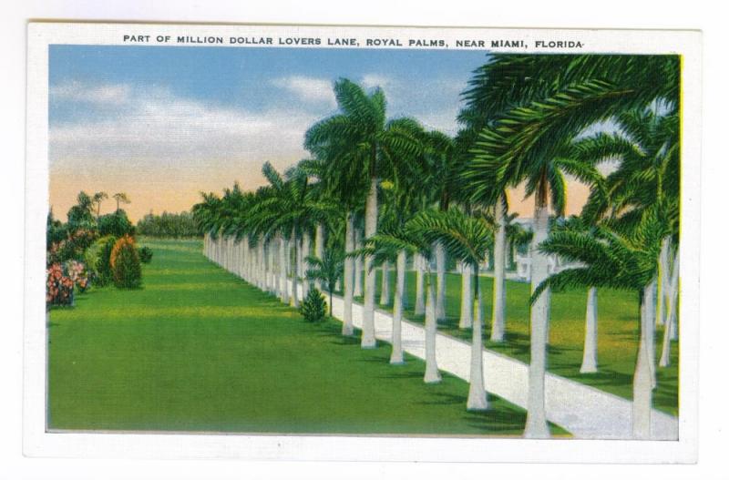 Million Dollar Lovers Lane, Royal Palms, Miami, Florida, unused linen PPC