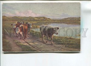 482160 PLANQUETTE Cow near lake Vintage postcard SALON #282