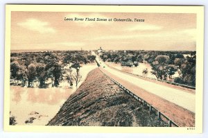 Gatesville Texas Flood Scene Leon River Postcard B034