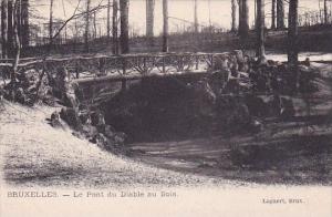 Belgium Brussells Bruxelles Le Pont Du Diable Au Bois