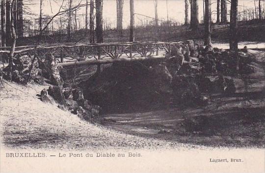 Belgium Brussells Bruxelles Le Pont Du Diable Au Bois