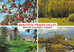 Canada Multi View Fraser Valley British Columbia