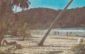 Maracas Bay Trinidad Beach Scene Wonky Tree Postcard