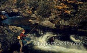 Fishing Old Vintage Antique Postcard Post Card  