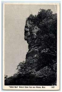 c1940 Indian Head Natural Stone Face Exterior Winona Minnesota Vintage Postcard