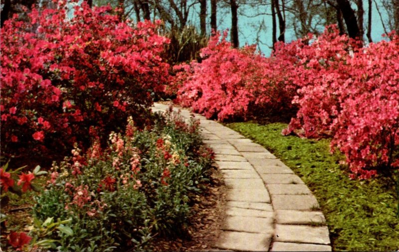 Louisiana Jefferson Island Rip Van Winkle Gardens