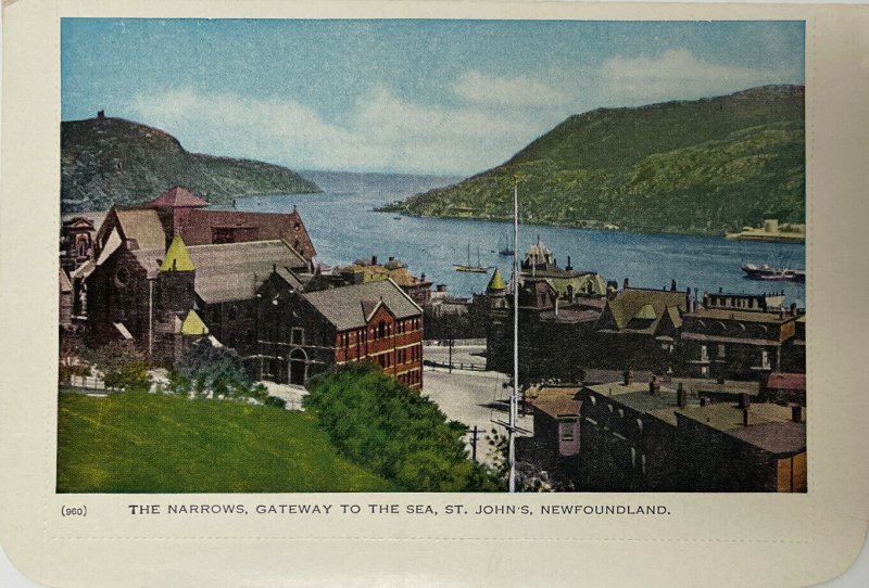 Vintage The Narrows, Gateway to the Sea, St. John's, Newfoundland Postcard
