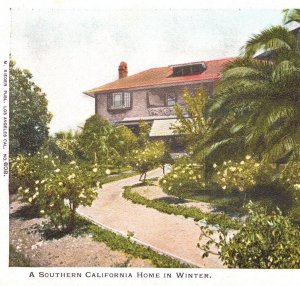 Postcard California Los Angeles Typical Residence in Winter Undivided Back Era 