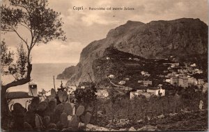 Vtg Capri Campania Italy Panorama with Mount Solara Postcard