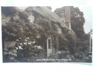Cottages at Lane Head Porlock Weir Somerset Vintage Antique Postcard