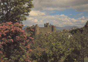 uk2126 castell harlech gwynedd wales real photo uk