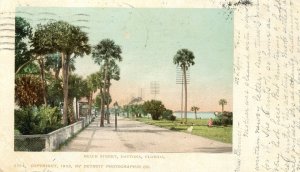 Postcard Antique View of Beach Street in Daytona Beach, FL.    aa6