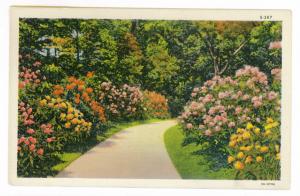 Hillsboro to Deerfield, Illinois 1942 used Linen Greetings Postcard