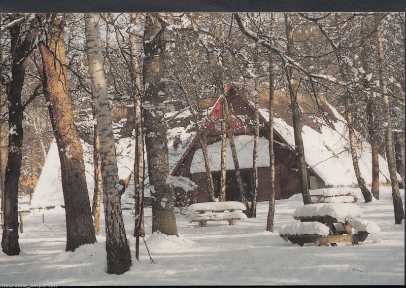 Essex Postcard - Winter in Thorndon Country Park, Brentwood  MB2172