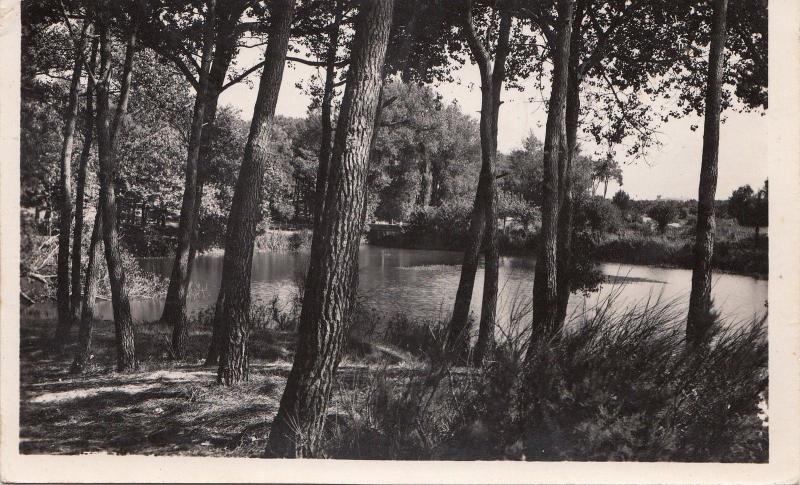 BF25795 les sables d olonne vendee le lac de tanchete  france  front/back image