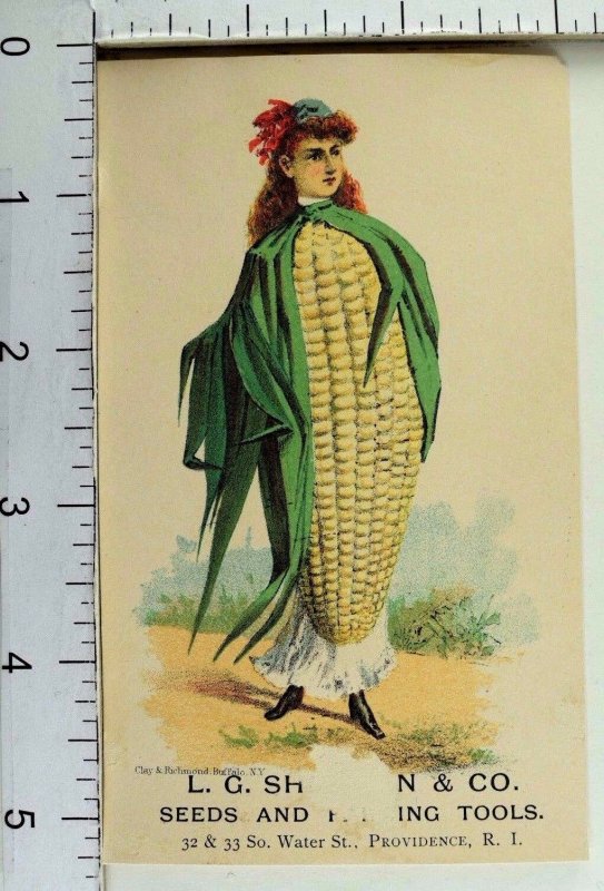 L.G Sherman & Co Seeds & Farming Tools Anthropomorphic Ear Of Corn-Lady P44