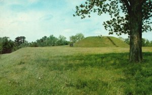 Vintage Postcard View of Natchez Trace Parkway Emerald Mound Mississippi MS