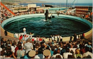 Whale Show Mainland Of The Pacific CA California Unused Postcard E92