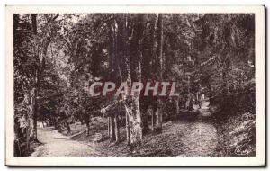 Old Postcard Remiremont (Vosges) Walk to Calvary