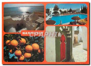 Postcard Modern Hammamet Hotel les Orangers
