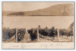 1908 View Of Lake Keuka Bluff Point New York NY RPPC Photo Antique Postcard