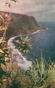 Vintage Postcard  1910's Waipio Valley Northeast Coast of Hawaii