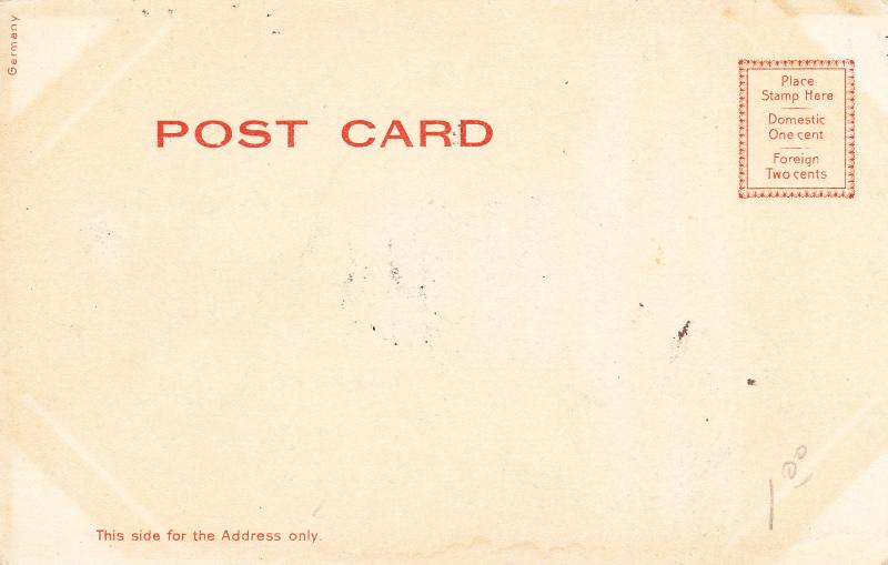 Antique Postcard, Statue of Liberty, New York, Glitter Accents  Undiv Back  E04