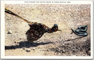 Texas TX, 1952 Road Runner and Rattle Snake in Finish Battle, Vintage Postcard
