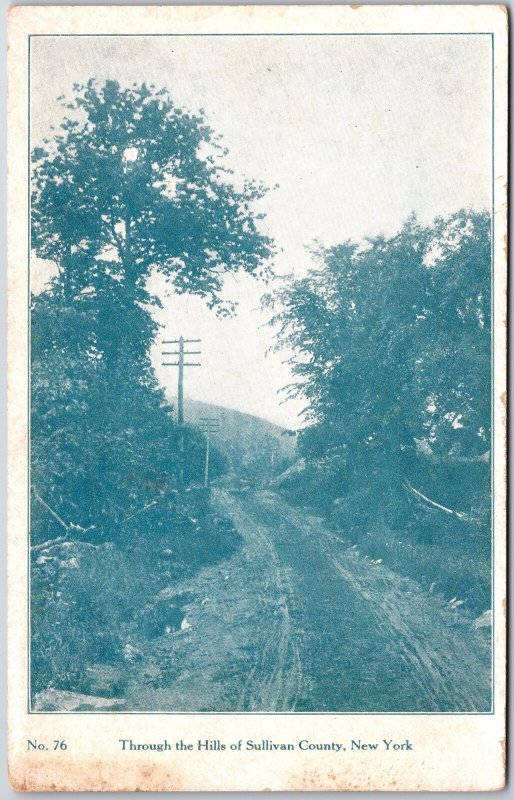 New York NY, Through The Hills of Sullivan County, Roadway, Vintage Postcard