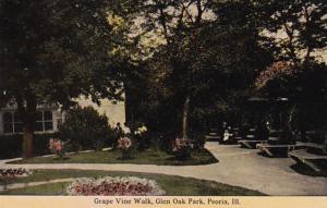 Illinois Peoria Grape Vine Walk In Glen Oak Park