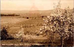 RPPC Pear Trees Blossoms Rogue River Valley OR Vintage Postcard V72