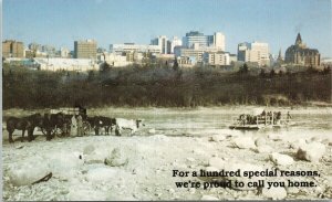 Saskatoon SK Centennial Week Auditorium Labatts Oxen Wagons Ferry Postcard F90