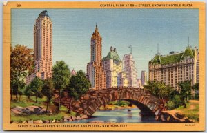 Savoy Plaza Sherry Netherlands and Pierre New York City Bridge Hotel Postcard