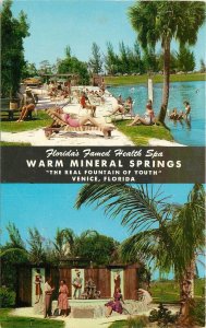 Postcard Florida Venice Warm Mineral Springs waterfront Teich 23-9400