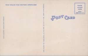 Garden State Parkway of New Jersey Linen Postcard C039