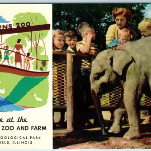 c1960s Bookfield, Chicago, IL New Children's Petting Zoo Farm Baby Elephant A222
