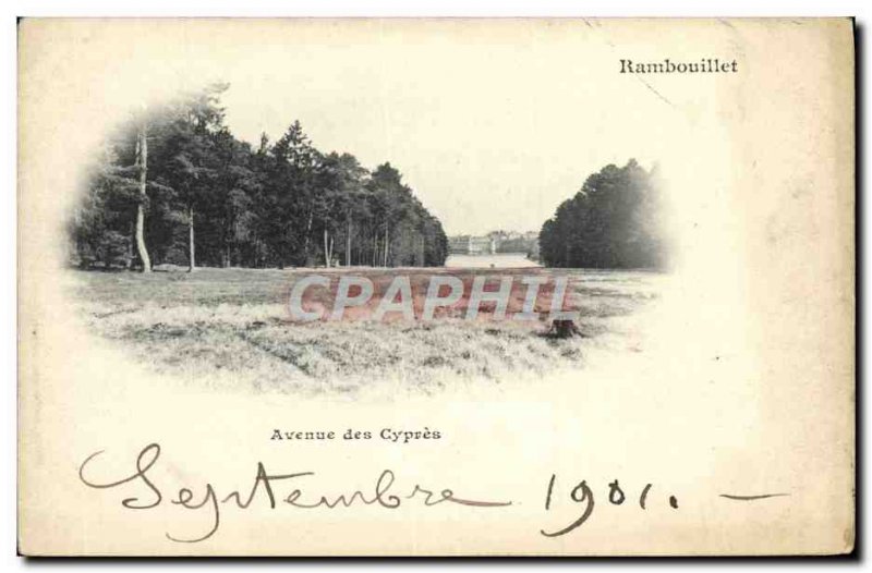 Old Postcard Rambouillet avenue Des Cypres