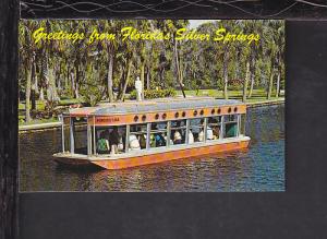 Greetings From Florida's Silver Springs Postcard 