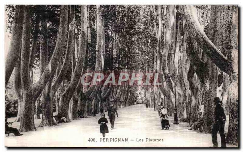 Old Postcard Perpignan Platanes