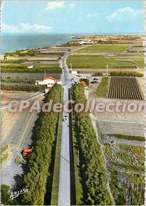 Modern Postcard Ile d'Oleron Road Chassiron view from the Lighthouse