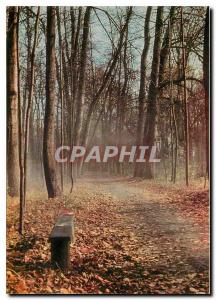  Modern Postcard Spasskoje Loutovinovo the transverse Alley