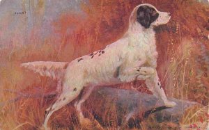 Springer Spaniel Alert Hunting Dog 1908 W H Carpenter artist postcard