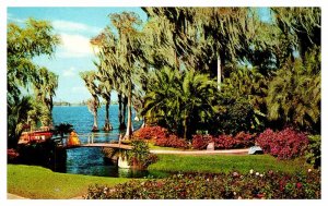 Postcard BRIDGE SCENE State of Florida FL AS0054