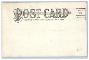 Red Wing Minnesota MN Postcard Aerial View Minnesota State Training School c1905