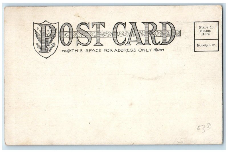 Red Wing Minnesota MN Postcard Aerial View Minnesota State Training School c1905