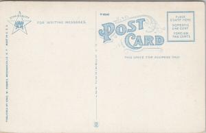 Old Fort Johnson Amsterdam NY New York Unused Vintage Postcard E42