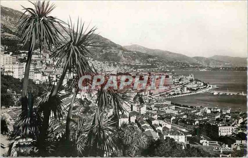 Modern Postcard Monte Carlo General View from the exotic garden